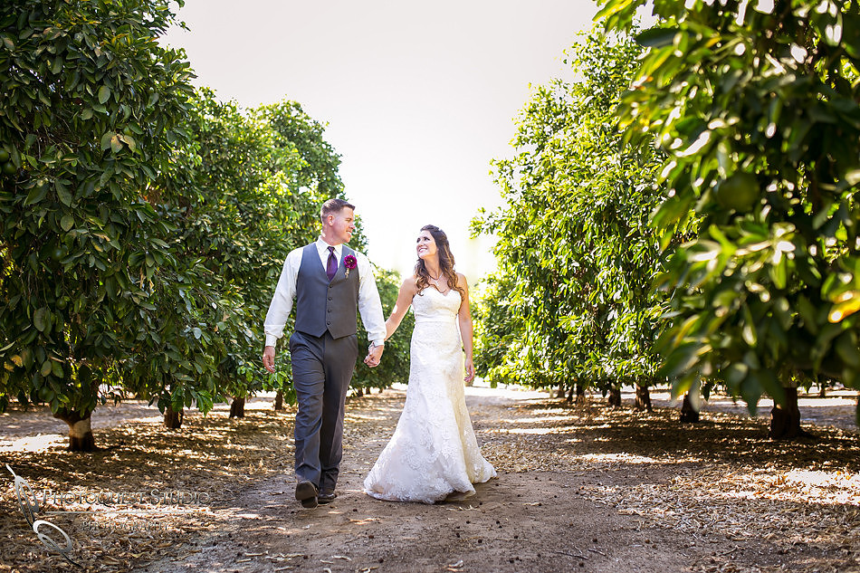 Wedding Photo at Temecula Winery, Wiens Family Cellars by Temecula Wedding Photographer, Amanda and Jonathon