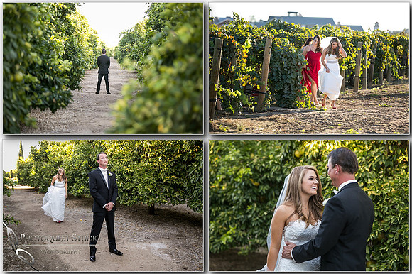 Beautiful wedding at Wiens Family Cellars Temecula Winery - Sarah & Shawn