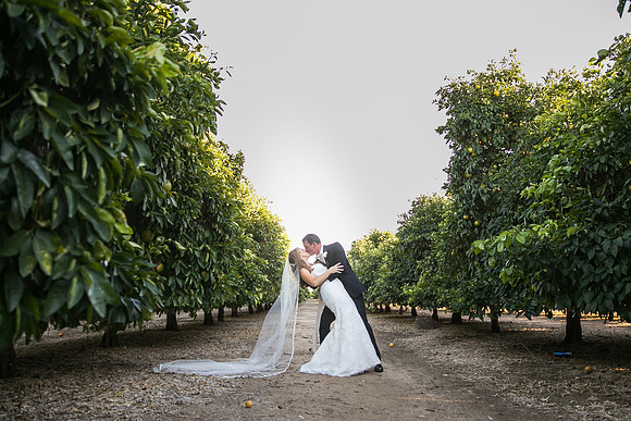 Beautiful wedding at Wiens Family Cellars Temecula Winery - Sarah & Shawn