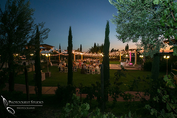 Mount Palomar Temecula Winery Wedding, Melissa and Chris Wedding by Temecula Wedding Photographer