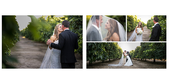 Beautiful wedding at Wiens Family Cellars Temecula Winery - Sarah & Shawn