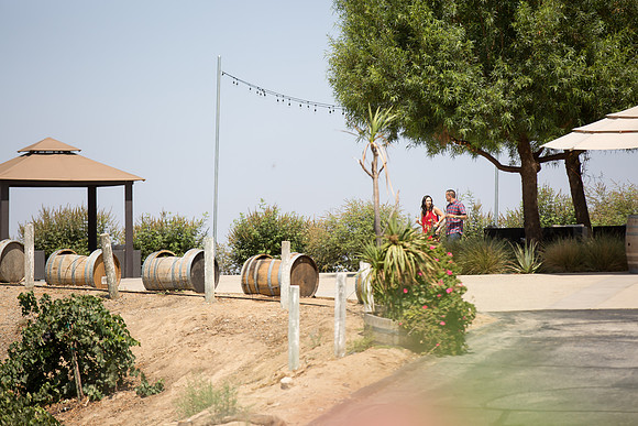 Surprise Proposal at Callaway, Temecula Winery by Wedding Photographer of Photoquest Studio - Tim & Megan
