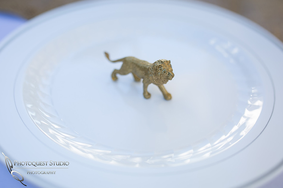 The Lion King - Safari theme - 1st Birthday Party White and Gold