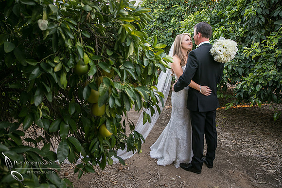Beautiful wedding at Wiens Family Cellars Temecula Winery - Sarah & Shawn