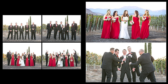 Beautiful wedding at Wiens Family Cellars Temecula Winery - Sarah & Shawn
