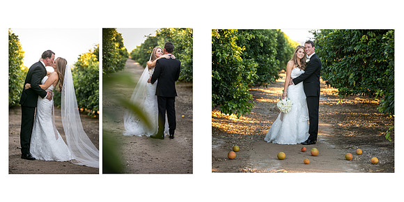 Beautiful wedding at Wiens Family Cellars Temecula Winery - Sarah & Shawn