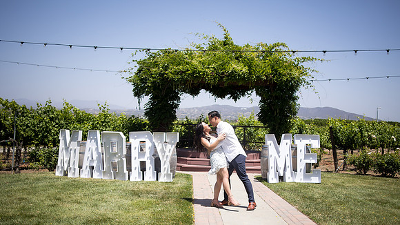 nina les orange county wedding photographer lorimar temecula winery surprise proposal-128