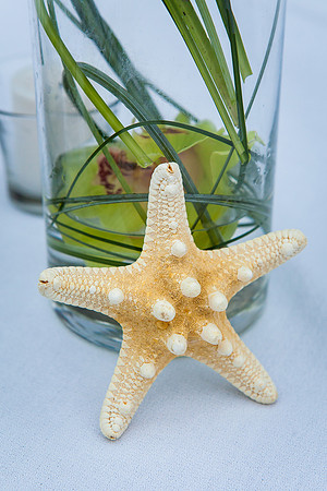 Carlsbad Beach Wedding by Temecula Wedding Photogarpher of Photoquest Studio, Photography