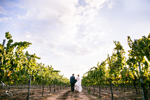 Mount Palomar Temecula Winery Wedding, Melissa and Chris Wedding by Temecula Wedding Photographer