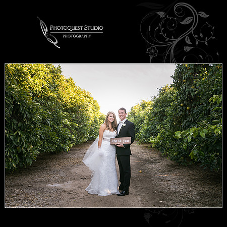Beautiful wedding at Wiens Family Cellars Temecula Winery - Sarah & Shawn