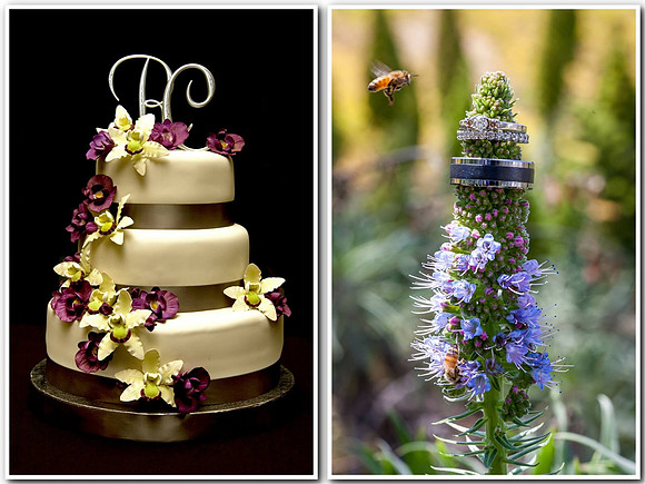 Temecula Wedding Photographer and Menifee Family Photography-004