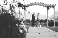 Surprise Proposal at Ponte Winery by Temecula Wedding Photographer