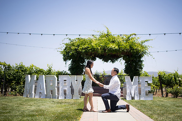 nina les orange county wedding photographer lorimar temecula winery surprise proposal-55