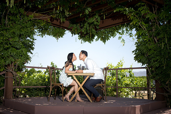 nina les orange county wedding photographer lorimar temecula winery surprise proposal-111