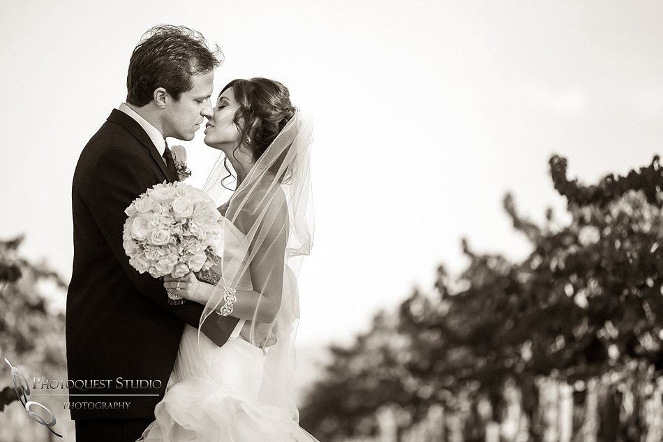 Wedding at Ponte Winery by Temecula Photographer, Photoquest Studio, Lovey couple on the vineyard