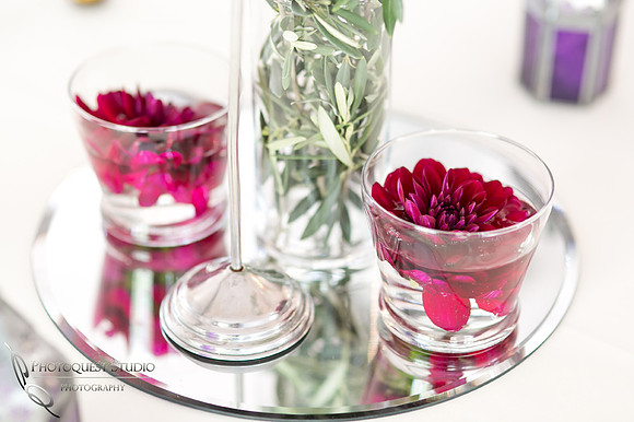Rose in the cup