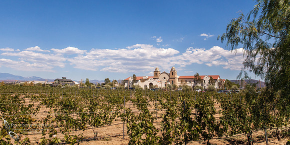 Wedding at Ponte Winery by Temecula Photographer, Photoquest Studio (4)