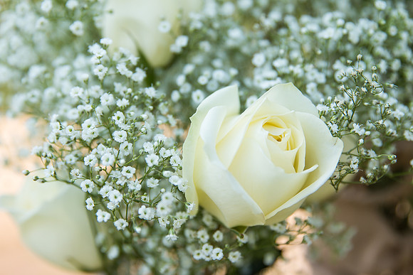 Surprise Proposal at Callaway, Temecula Winery by Wedding Photographer of Photoquest Studio - Tim & Megan