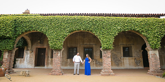 the vine