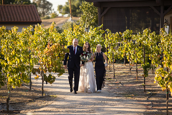 Temecula Wedding Photographer at Avensole Winery, Haley & Tristian-382
