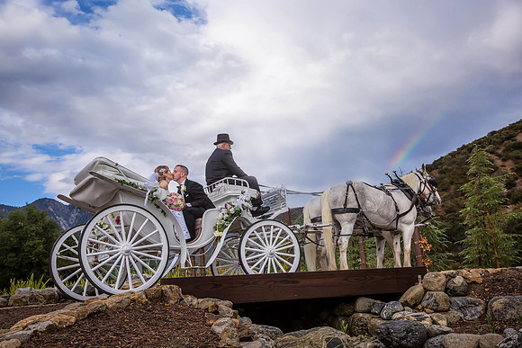 Horse-carriage-and-rainbow-at-Serendipity-Garden-Weddings