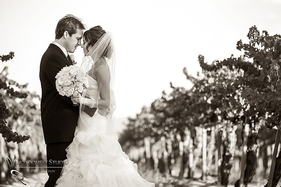 Wedding at Ponte Winery by Temecula Photographer, Photoquest Studio (16)