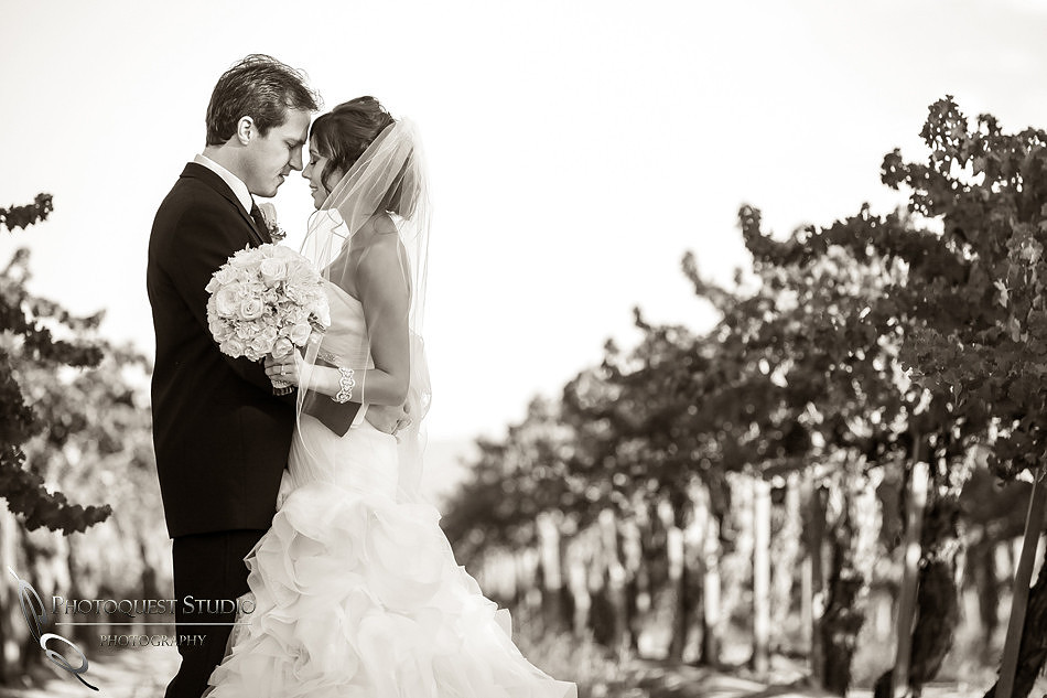 Wedding at Ponte Winery black and white photo