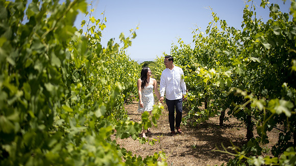 nina les orange county wedding photographer lorimar temecula winery surprise proposal-121