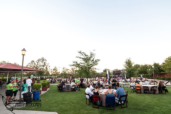Temecula Wedding Photographer, Concert Photographer at Wiens Family Cellars Winery, The English Beat