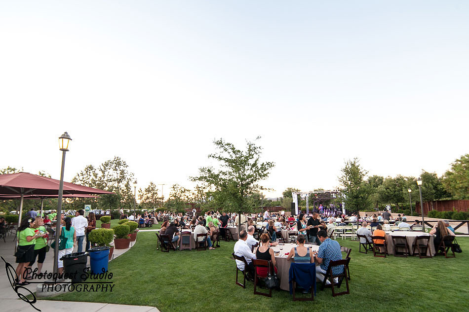 Temecula Wedding Photographer, Concert Photographer at Wiens Family Cellars Winery, The English Beat