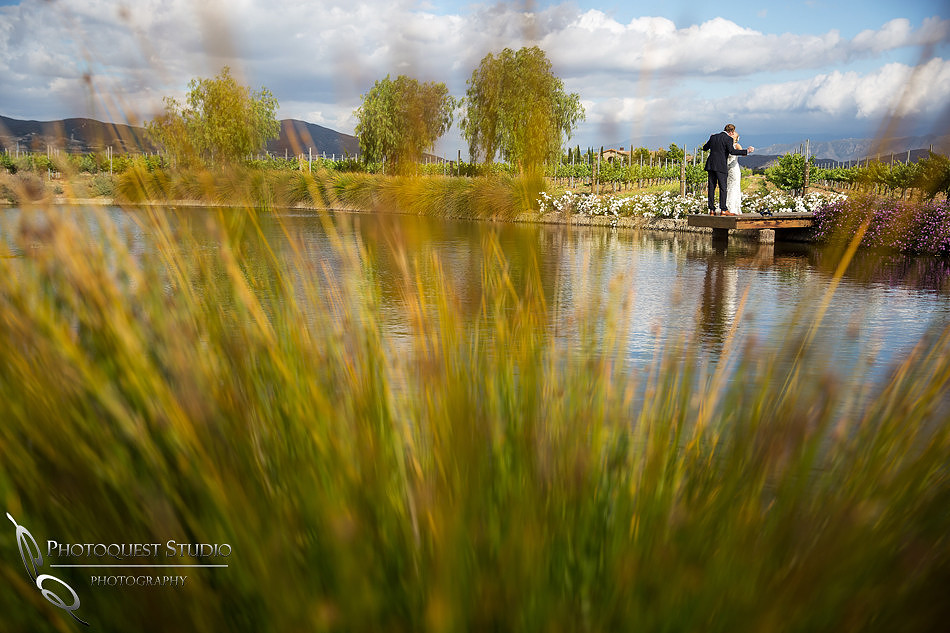 Bride and Groom Kissing at Ponte Winery 