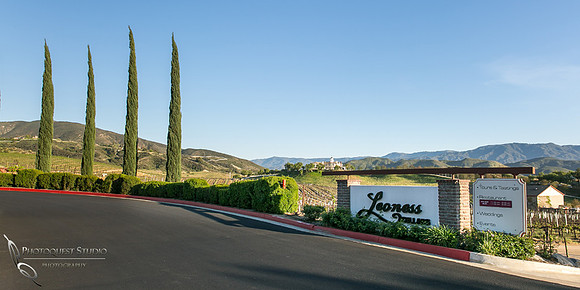 Fashion Week at Leoness, Temecula Winery - IVBCF, Inland Valley Business and Community Foundation