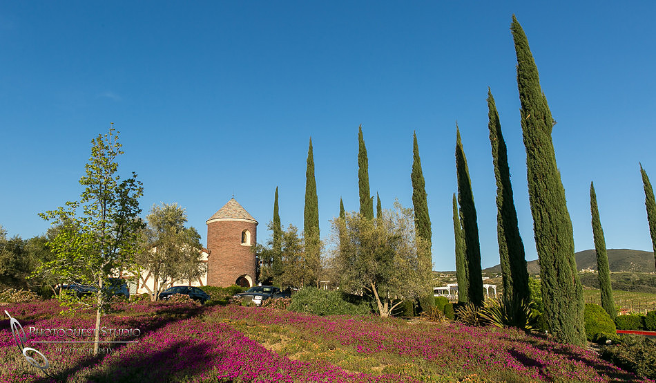 Fashion Week at Leoness, Temecula Winery - IVBCF, Inland Valley Business and Community Foundation