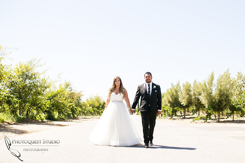 Hand in hand at Wiens wedding