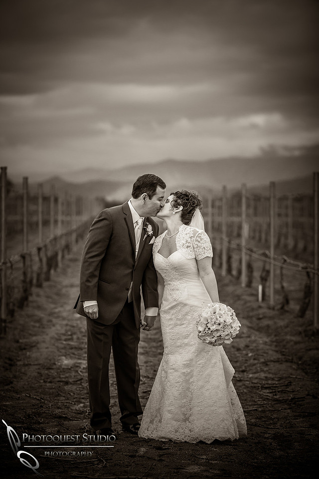Wedding at Ponte Winery kissing in the vineyard