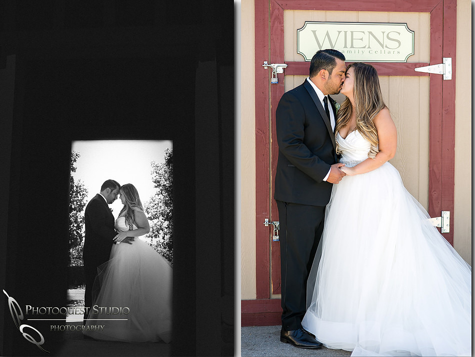 Wiens Temecula winery wedding photo