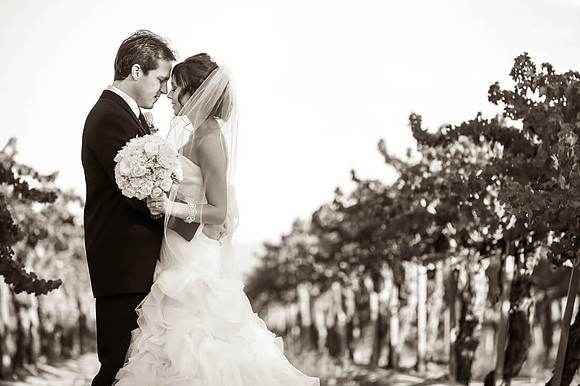 Ponte Winery Wedding by Temecula wedding photographer Logans Wedding