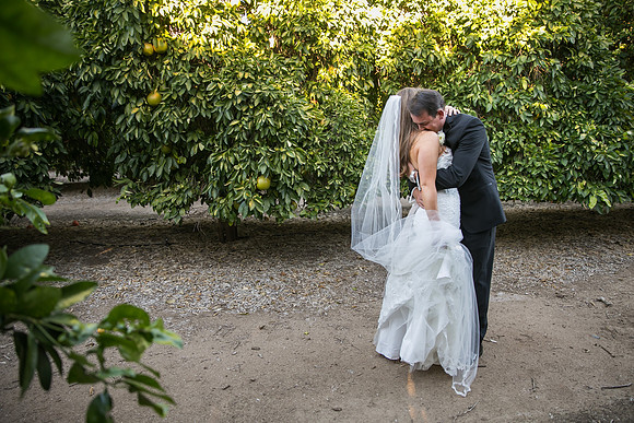 Beautiful wedding at Wiens Family Cellars Temecula Winery - Sarah & Shawn