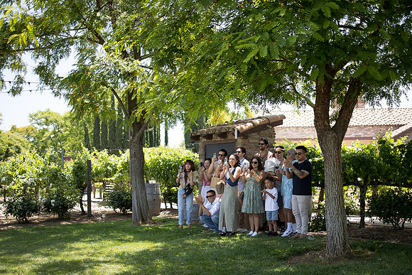 nina les orange county wedding photographer lorimar temecula winery surprise proposal-61