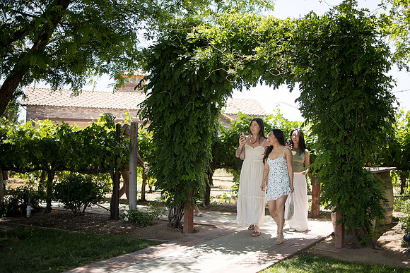 nina les orange county wedding photographer lorimar temecula winery surprise proposal-31