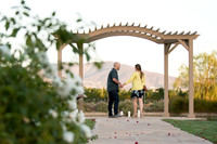 Surprise Proposal at Ponte Winery by Temecula Wedding Photographer