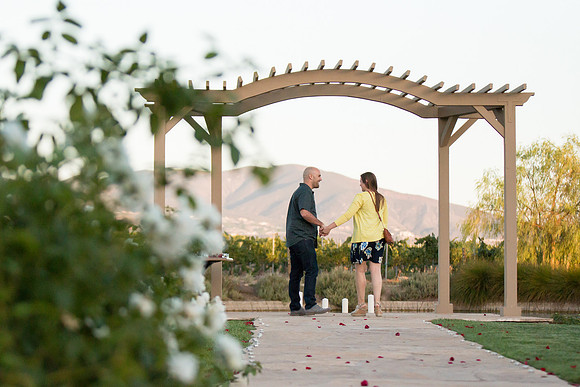 Surprise Proposal at Ponte Winery by Temecula Wedding Photographer