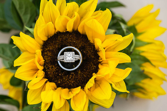 Sweet Couple Wedding at Longshadow Ranch Winery by Temecula Wedding Photographer - Megan and Cody-611