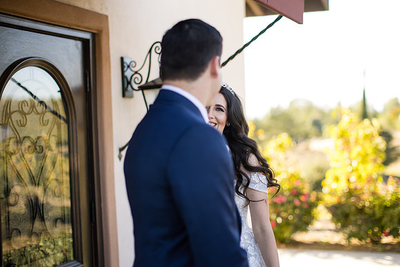 Temecula Wedding Photographer at Avensole Winery, Haley & Tristian-227