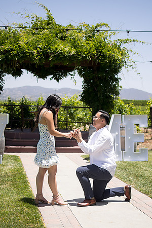 nina les orange county wedding photographer lorimar temecula winery surprise proposal-60