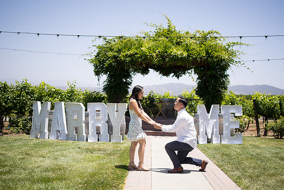 nina les orange county wedding photographer lorimar temecula winery surprise proposal-49