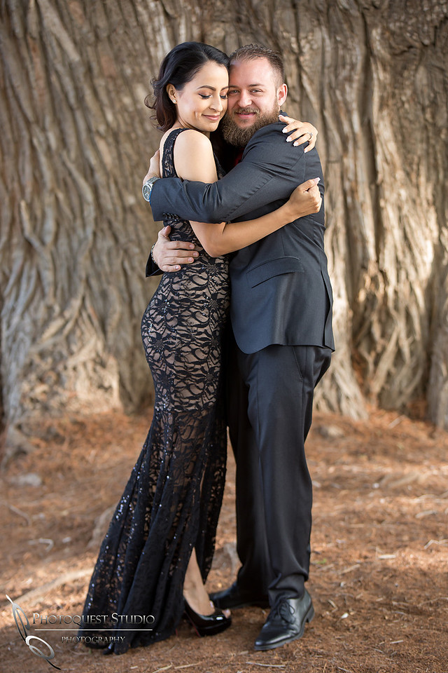 Love Birds in each other arms