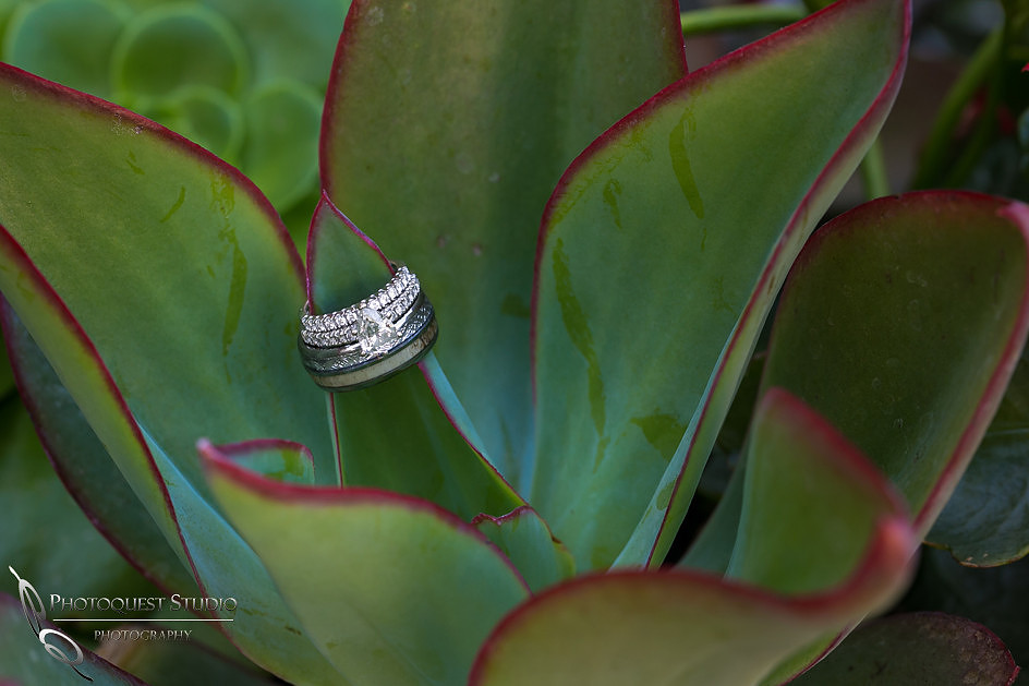 Diamond, the girl bff, Temecula, Fallbrook wedding photographer