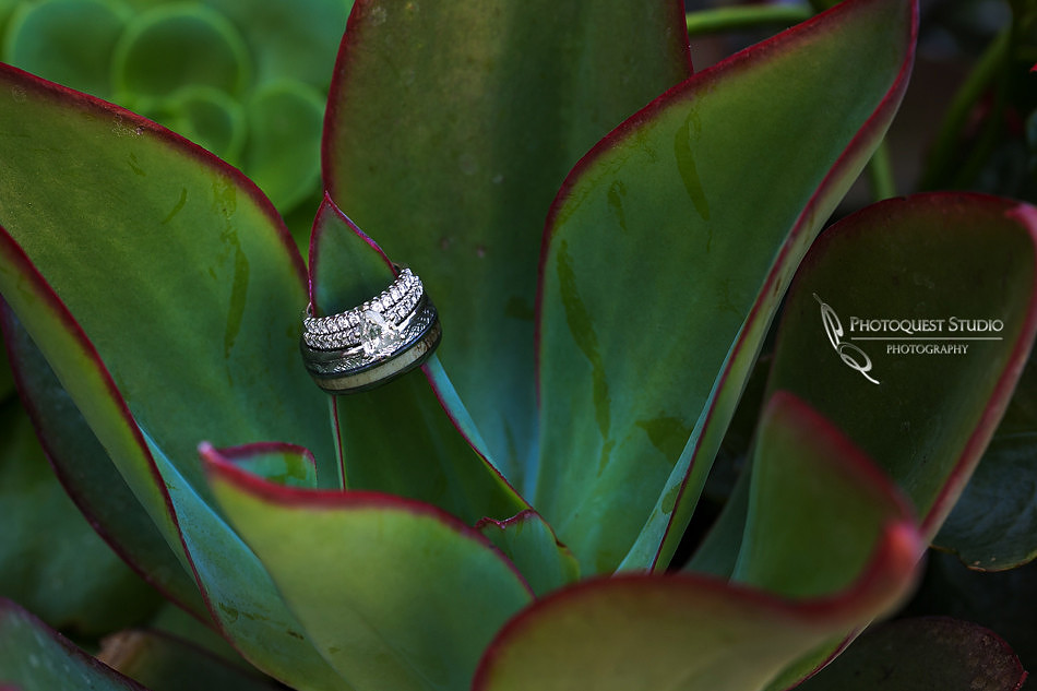 Temecula-Fallbrook-wedding-photographer-at-Wedgewood-San-Clemente,-Orange-County
