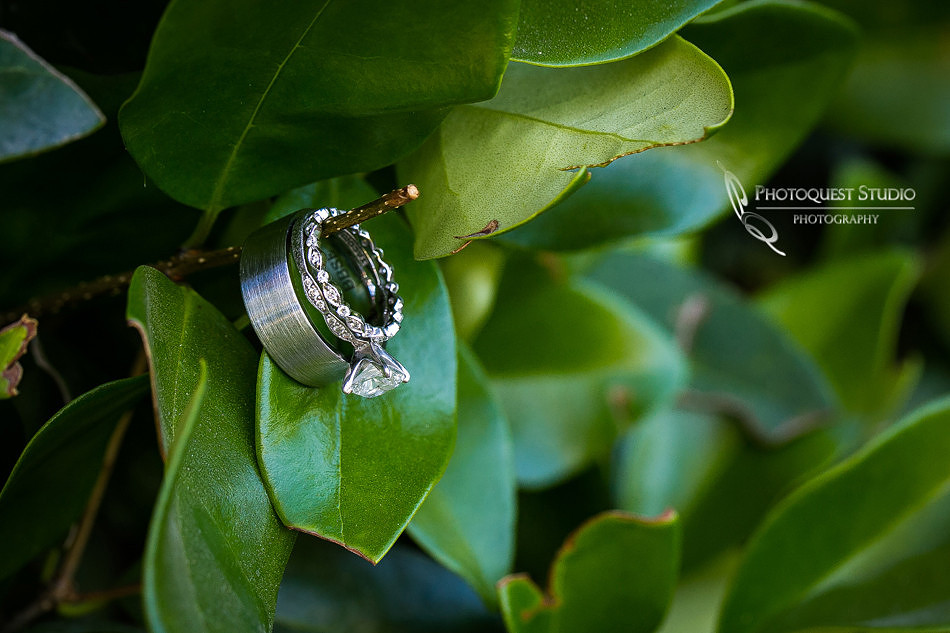 Wedding-Photo-at-Temecula-Winery---Wiens-Family-Cellars-and-Pechanga-Casino